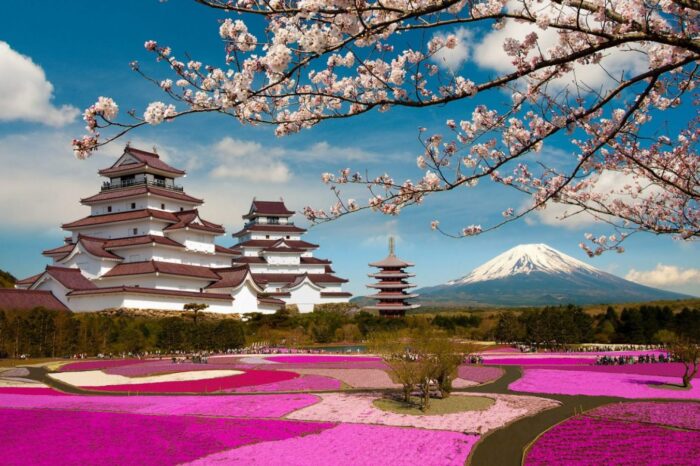 Japan Cherry Blossom 11 Nights & 12 Days